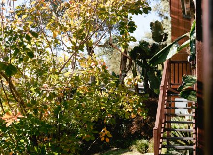 Zen Den, Warrandyte 15