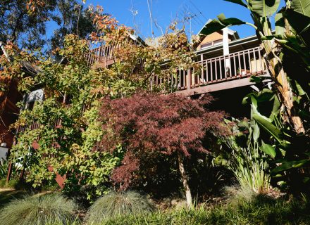 Zen Den, Warrandyte 18