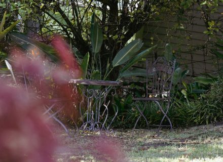 Zen Den, Warrandyte 23