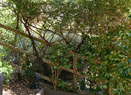 Zen Den, Warrandyte 7