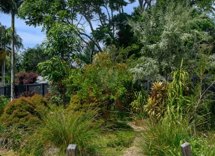 brass-palms-bangalow_09