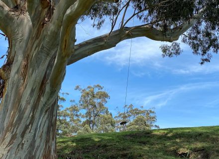 Cubby Farmhouse, Bena