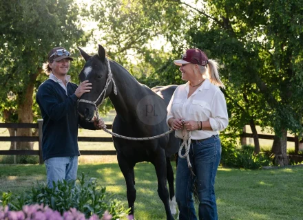 irving-s-passage-yarras_52