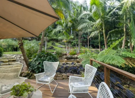 palm-shadow-house-lisarow_06