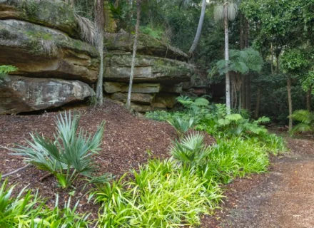 palm-shadow-house-lisarow_08