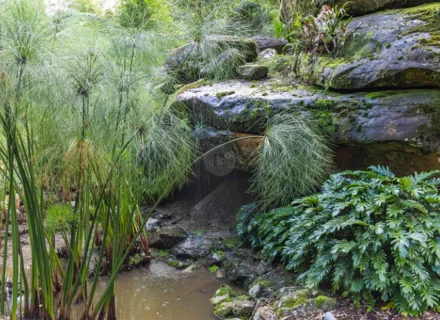 palm-shadow-house-lisarow_20