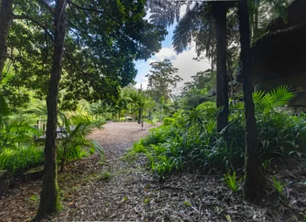 palm-shadow-house-lisarow_26