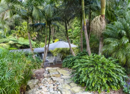 palm-shadow-house-lisarow_29