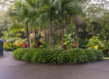 palm-shadow-house-lisarow_31