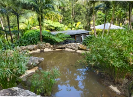 palm-shadow-house-lisarow_33