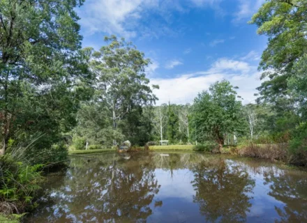 palm-shadow-house-lisarow_35