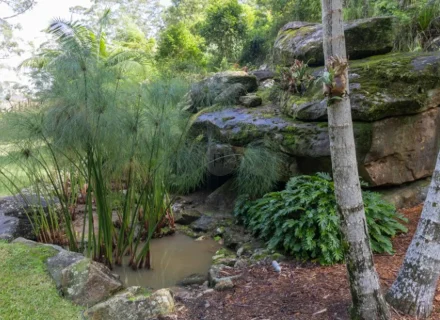 palm-shadow-house-lisarow_37