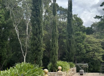 Pastis, Alstonville